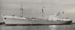 m.s. Alchiba